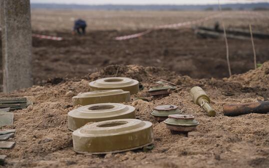 Demining by troops of the territory