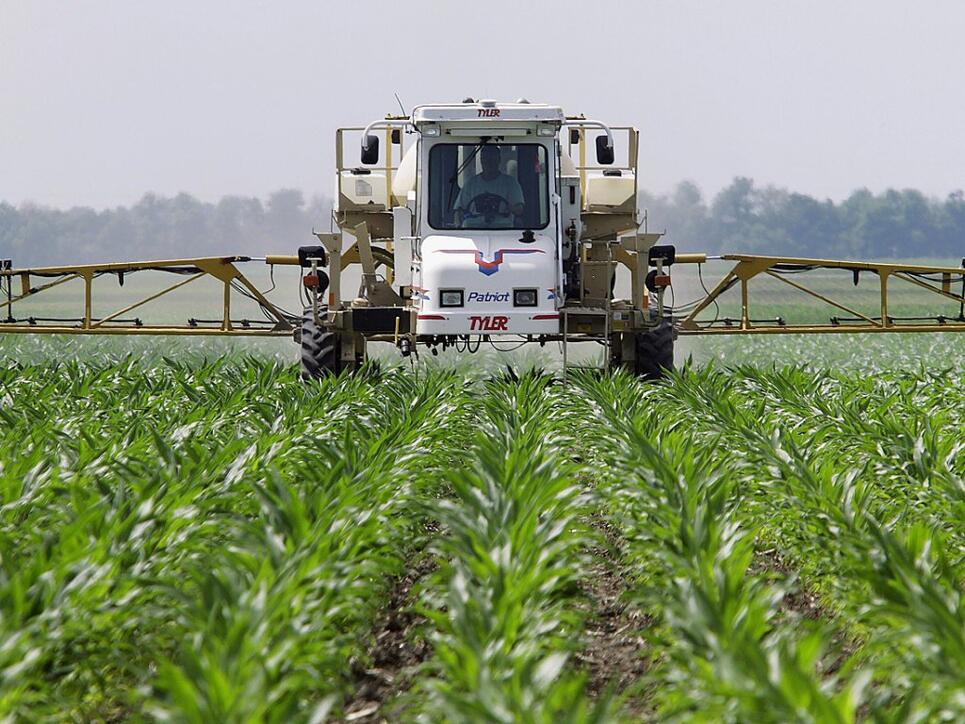 Es wird auch in der Landwirtschaft eingesetzt: Die im Unkrautvernichtungsmittel Roundup enthaltene Chemikalie Glyphosat verursachte bei Labortieren Tumore. (Symbolbild)