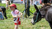Eselfest in Malbun