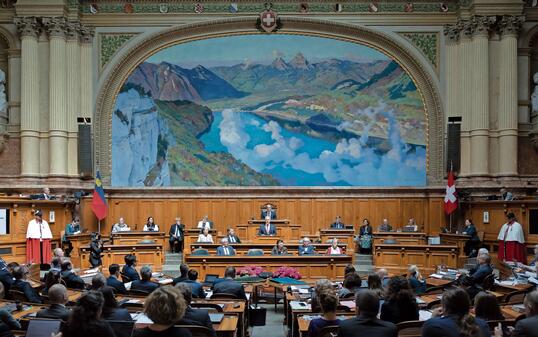 SCHWEIZ LIECHTENSTEIN ZOLLVERTRAG 100 JAHRE