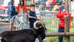 Prämienmarkt Vaduz