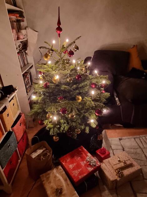 Fotowettbewerb: Zeig uns Deinen Christbaum 2022