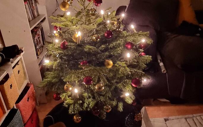 Fotowettbewerb: Zeig uns Deinen Christbaum 2022