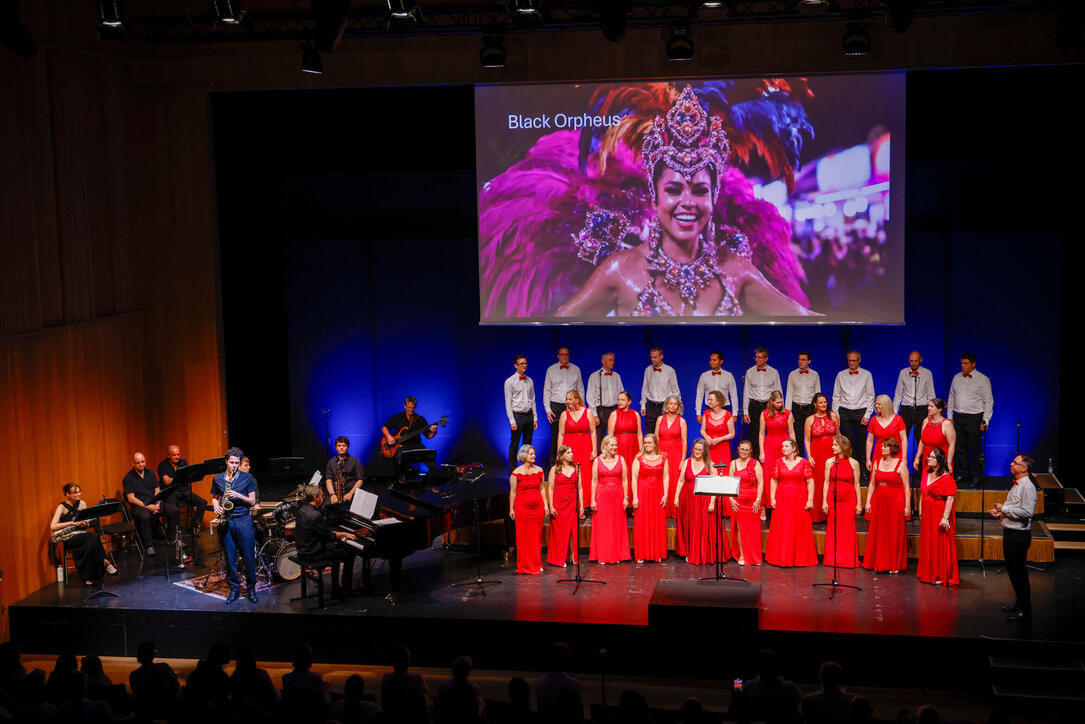 Jubil&auml;umskonzert &laquo;30 Jahre Divertimento Chor&raquo;. 20.06.2026.