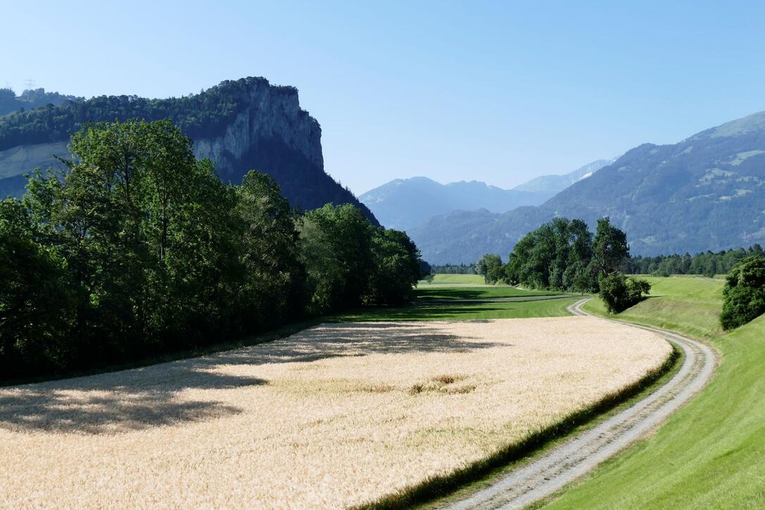 #näherdran-Fotowettbewerb Balzers