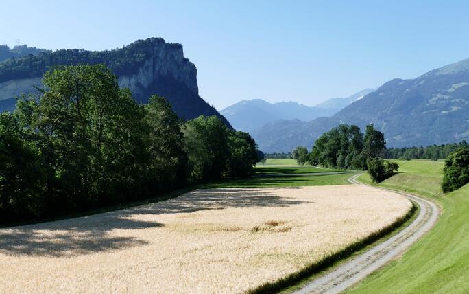 #näherdran-Fotowettbewerb Balzers