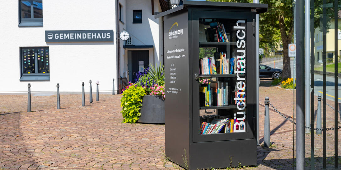 Bücherschrank Schellenberg