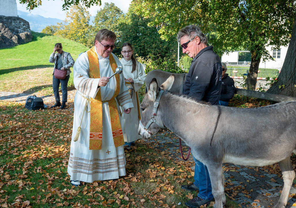 Tiersegnung in Gamprin (03.10.2026)