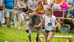 Eselfest in Malbun
