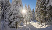 Winter in Steg