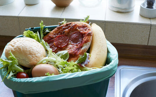 Fresh Food Waste In Recycling Bin At Home