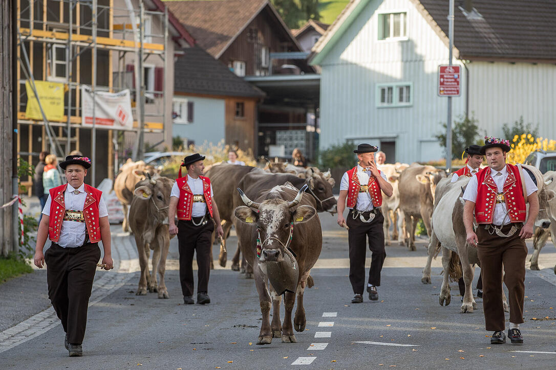 Auffuhr der Tiere für die Viehschau Grabs