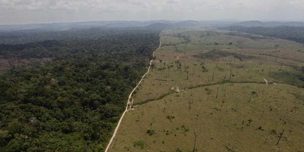 Erstreckt sich über neun Länder: das Amazonasgebiet in Südamerika - hier eine Aufnahme aus Brasilien (Archiv)