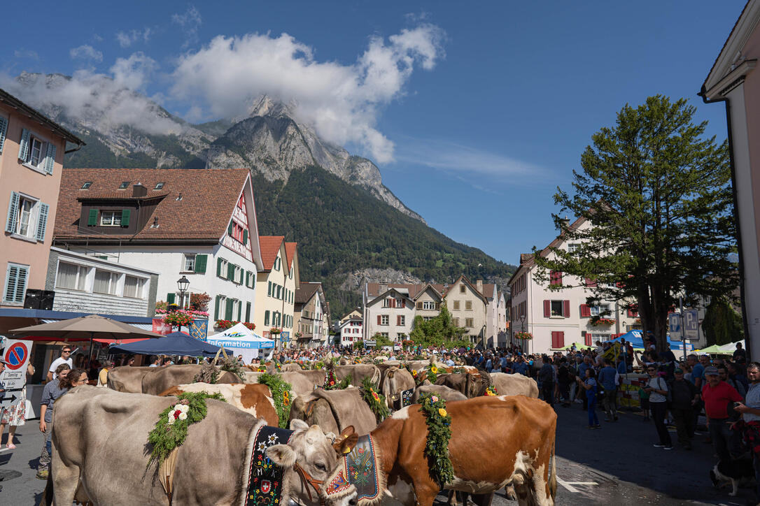 Alpabfahrt in Mels
