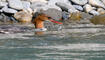 Trockener Alpenrhein