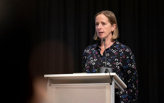 10 Jahre Gartenkooperative, Triesen