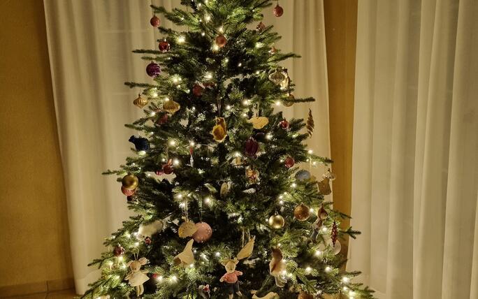 Fotowettbewerb: Zeig uns Deinen Christbaum 2022