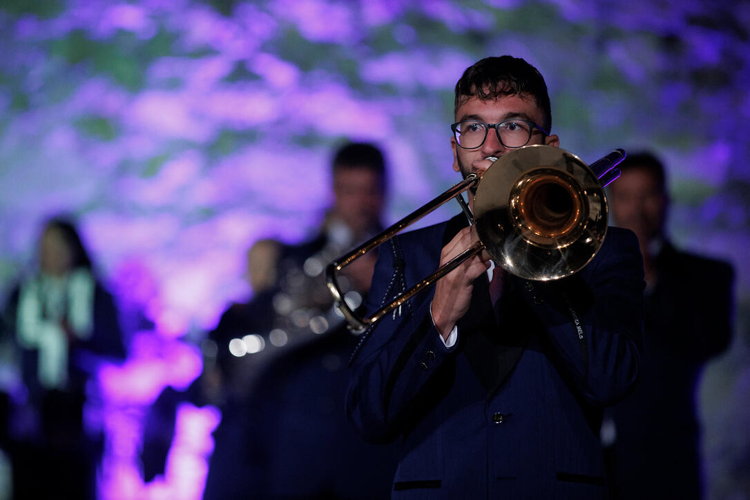 The Princely Liechtenstein Tattoo in Schellenberg