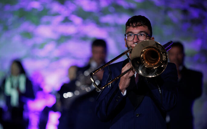 The Princely Liechtenstein Tattoo in Schellenberg