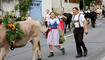 Alpabtrieb, Rüthi, St. Gallen, Schweiz