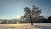 Winterwunderland Liechtenstein (03.12.23)