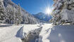 Winter in Steg
