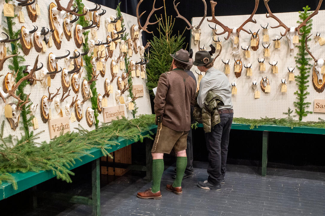 Hegeschau, in Schaan (28.02.2026)