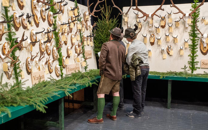 Hegeschau, in Schaan (28.02.2026)