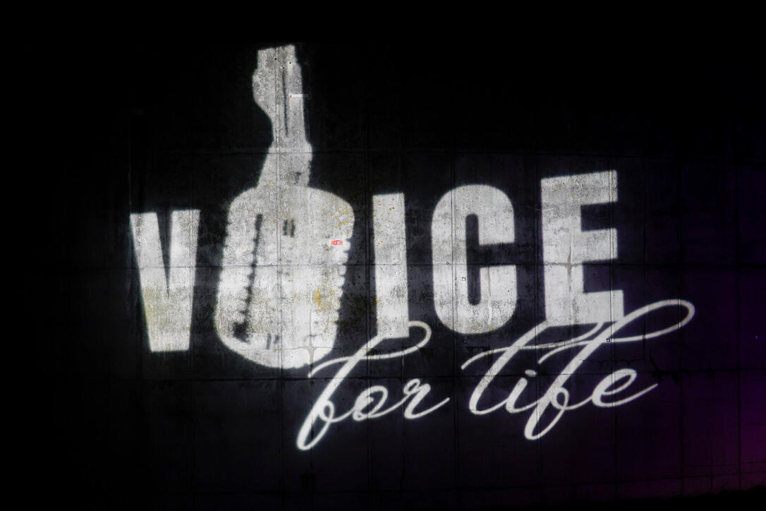 Voice for Life, Charity Event in Sevelen.