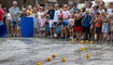 Sommer-Entenrennen