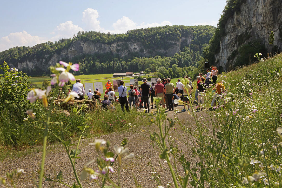 8000 Jahre Siedlungsgeschichte des Alpenrheintals, Oberriet
