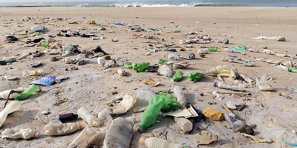 Plastik an einem Strand in Afrika: Für Meerestiere werden die Abfälle zur Todesfalle. (Archivbild)