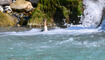Trockener Alpenrhein