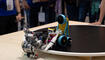 Robo-League bei der Ivoclar in Schaan