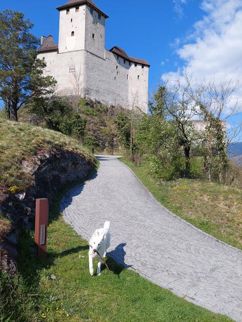 #näherdran-Fotowettbewerb Balzers