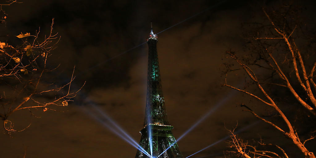 Noch ist der Wald licht, doch mit jeder Spende wird ein Baum auf den Eiffelturm "gepflanzt".