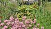 #näherdran-Fotowettbewerb Ruggell