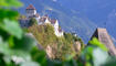 Traubenschau 2026 der Winzergenossenschaft Vaduz