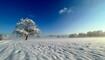 Winterwunderland Liechtenstein (03.12.23)