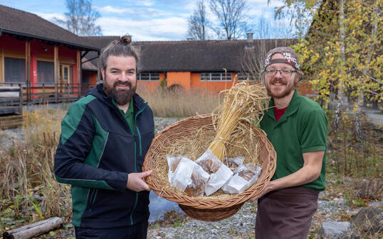 Bauernbrot in Mauren