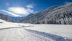 Winter in Steg