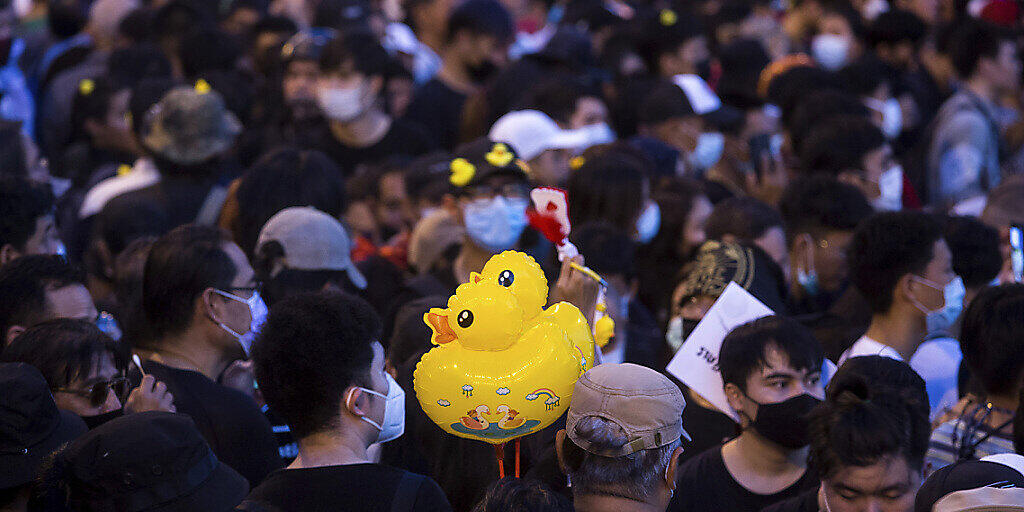 Während einer pro-demokratischen Demonstration in Bangkok, Thailand, trägt ein Protestteilnehmer Luftballons, die die Form einer Ente haben. Foto: Wason Wanichakorn/AP/dpa Während einer pro-demokratischen Demonstration in Bangkok, Thailand, trägt ein Protestteilnehmer Luftballons, die die Form einer Ente haben. Foto: Wason Wanichakorn/AP/dpa