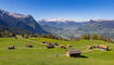 11. Sagenfestin Triesenberg (01.05.2026)