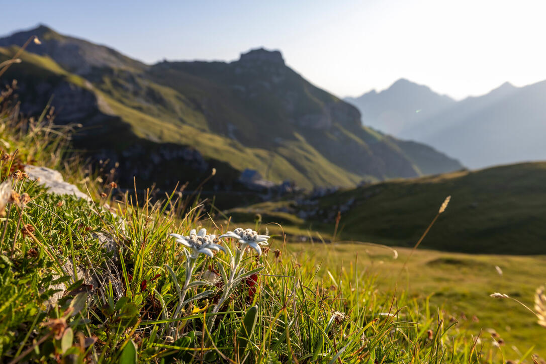 Wanderung Pf&auml;lzerh&uuml;tte Naafkopf