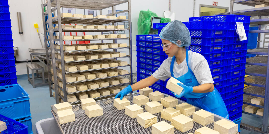 Tofu Reportage in Landquart