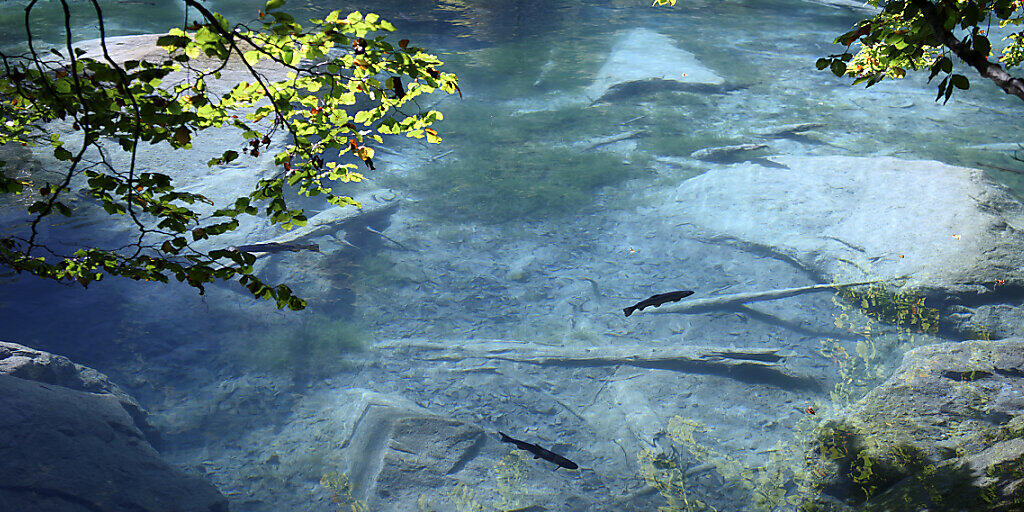 Der idyllische Blausee an einem Septembertag dieses Jahres. Der idyllische Blausee an einem Septembertag dieses Jahres.