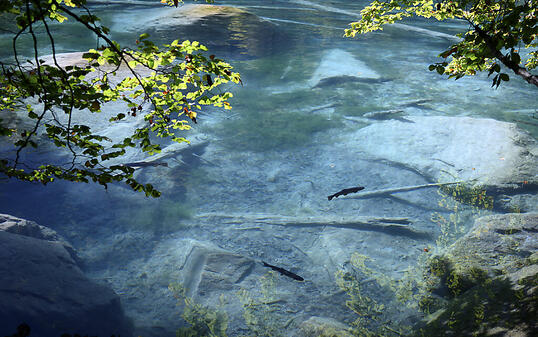 Der idyllische Blausee an einem Septembertag dieses Jahres.