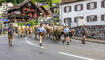 Alpabfahrt Sücka
