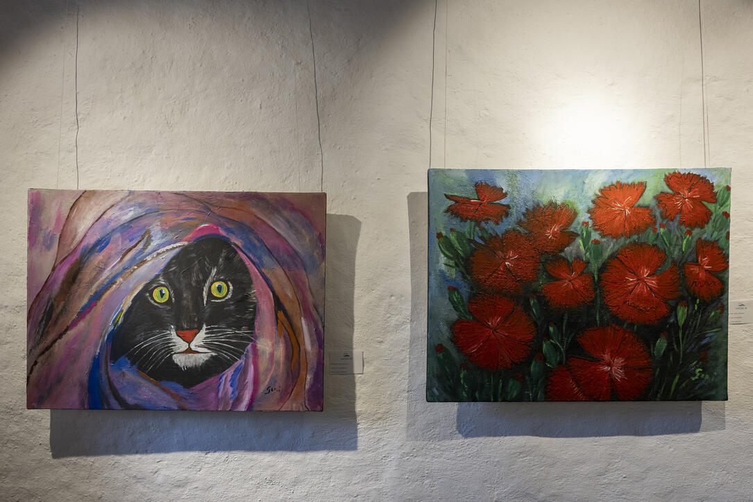 Ausstellung «Auf leisen Pfoten» in Werdenberg