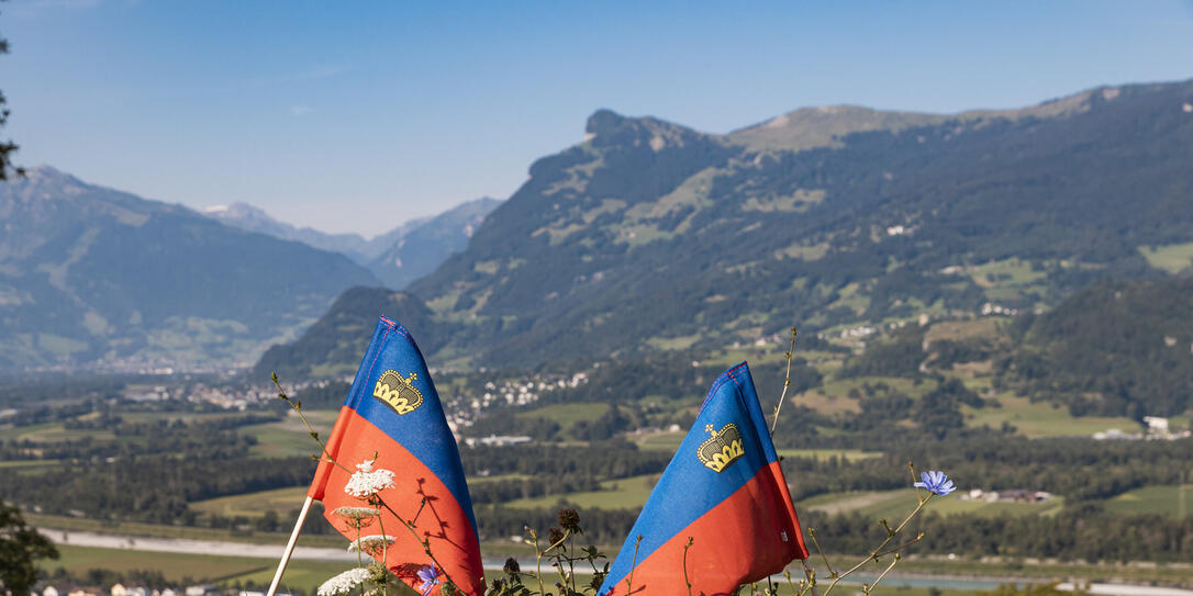 Liechtenstein Fahne